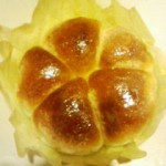 20100129184400.jpg