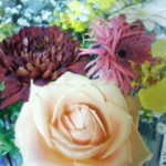 20100322222957.jpg