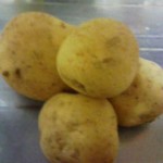20100326005323.jpg